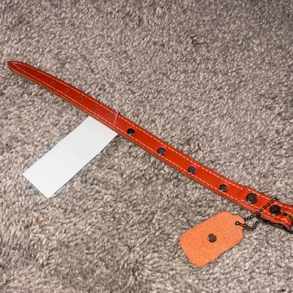 New Orange Dog Collar with Paw Charms leather size 10 inches